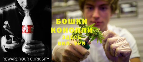 винт Дмитров