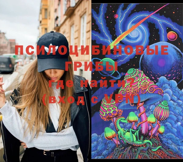 винт Дмитров