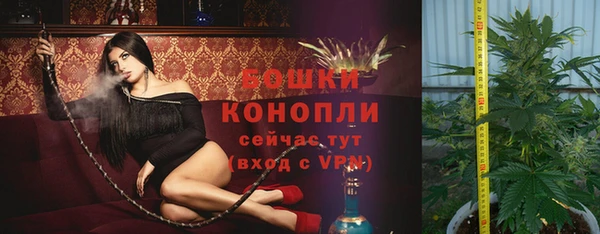 шишки Няндома