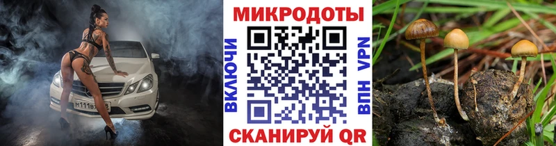 Галлюциногенные грибы Cubensis Окуловка
