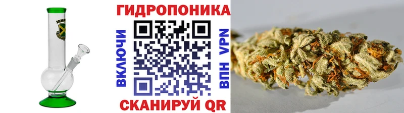 где купить наркотик  кракен зеркало  Бошки Шишки конопля  Окуловка 